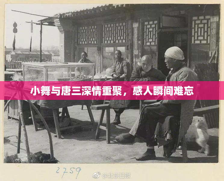 小舞与唐三深情重聚，感人瞬间难忘