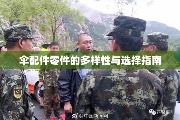伞配件零件的多样性与选择指南