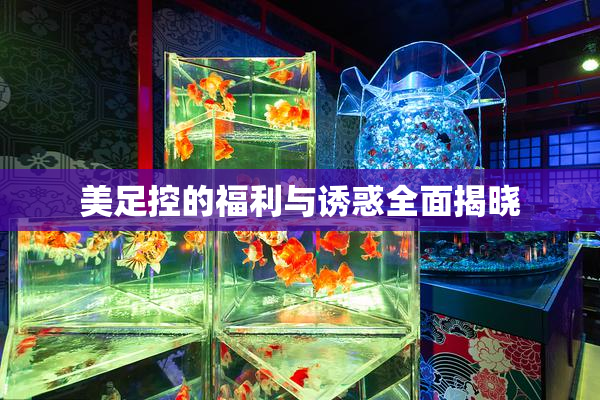 美足控的福利与诱惑全面揭晓