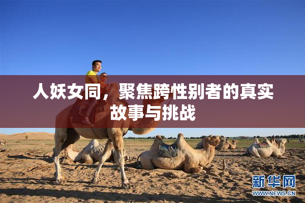 人妖女同，聚焦跨性别者的真实故事与挑战
