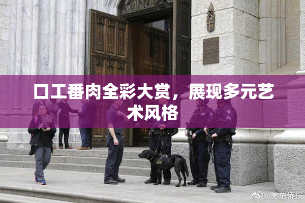 口工番肉全彩大赏，展现多元艺术风格