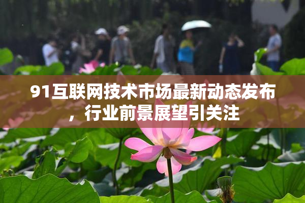 91互联网技术市场最新动态发布，行业前景展望引关注