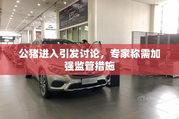 公猪进入引发讨论，专家称需加强监管措施
