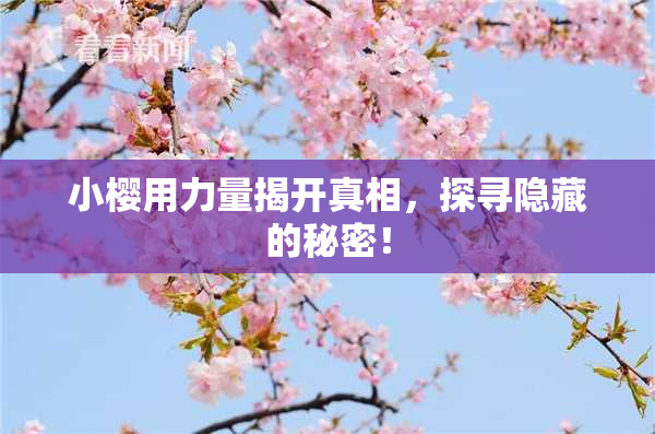 小樱用力量揭开真相，探寻隐藏的秘密！