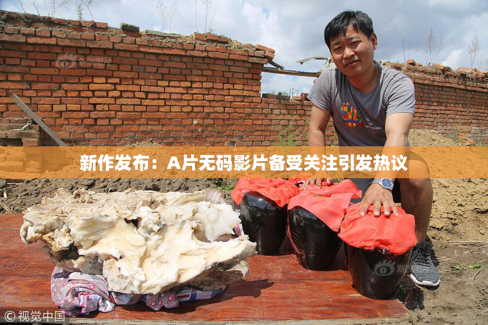 新作发布：A片无码影片备受关注引发热议