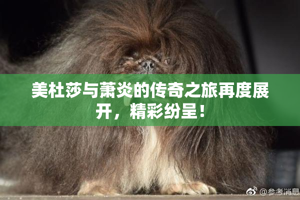 美杜莎与萧炎的传奇之旅再度展开，精彩纷呈！