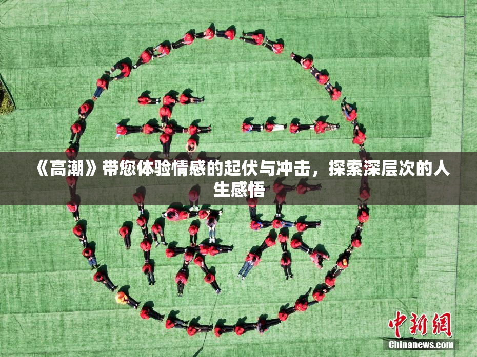 《高潮》带您体验情感的起伏与冲击，探索深层次的人生感悟