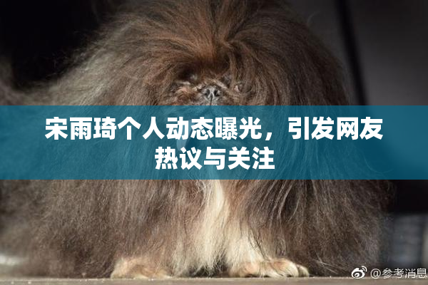宋雨琦个人动态曝光，引发网友热议与关注