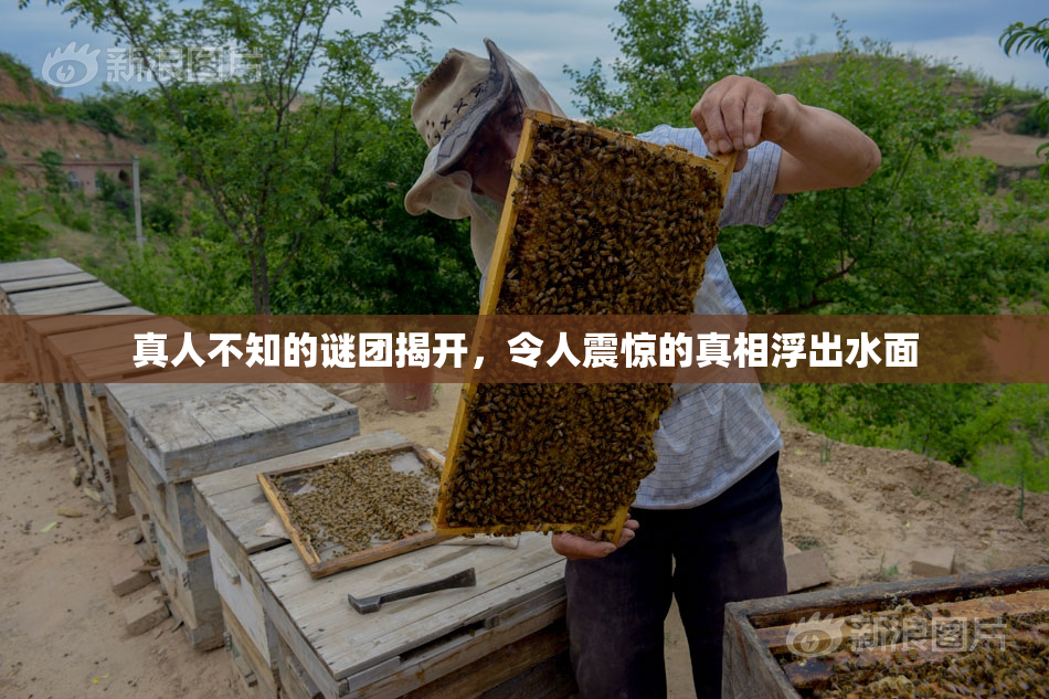 真人不知的谜团揭开，令人震惊的真相浮出水面