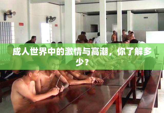 成人世界中的激情与高潮，你了解多少？