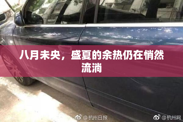 八月未央，盛夏的余热仍在悄然流淌