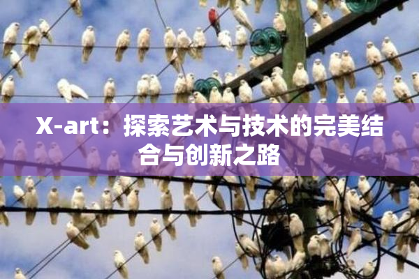 X-art：探索艺术与技术的完美结合与创新之路