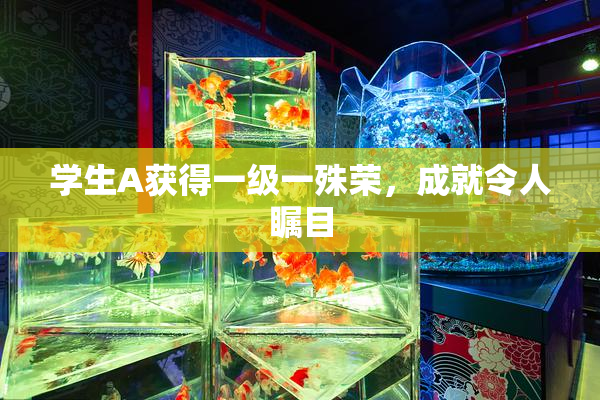 学生A获得一级一殊荣，成就令人瞩目