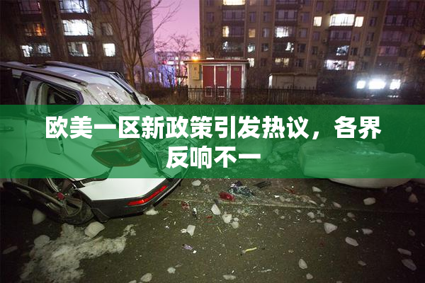 欧美一区新政策引发热议，各界反响不一