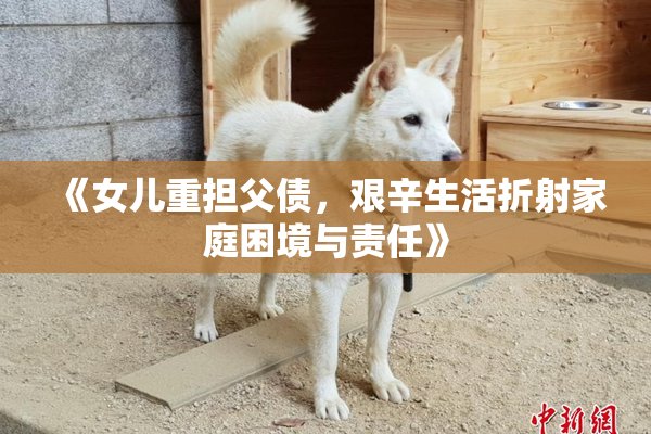 《女儿重担父债，艰辛生活折射家庭困境与责任》