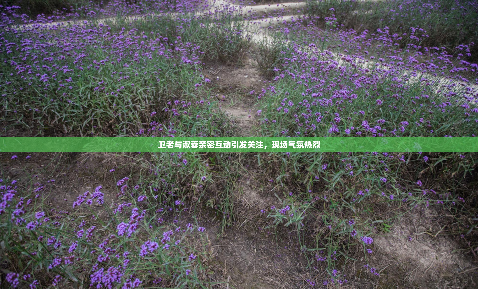 卫老与淑蓉亲密互动引发关注，现场气氛热烈