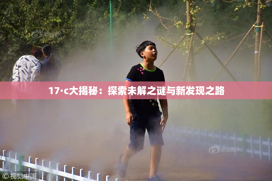 17·c大揭秘：探索未解之谜与新发现之路