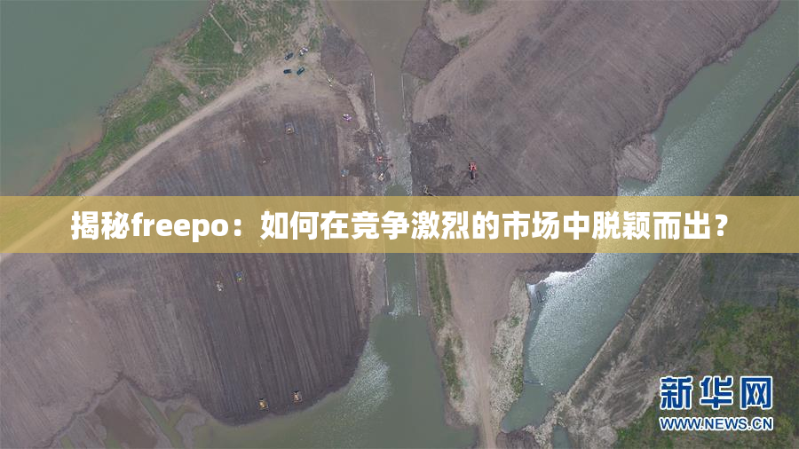 揭秘freepo：如何在竞争激烈的市场中脱颖而出？