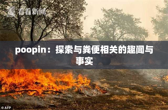 poopin：探索与粪便相关的趣闻与事实