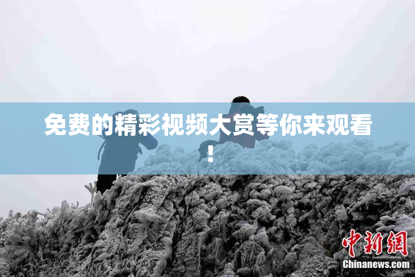 免费的精彩视频大赏等你来观看！
