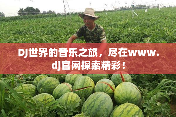DJ世界的音乐之旅，尽在www.dj官网探索精彩！
