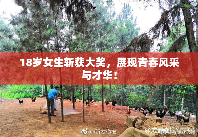 18岁女生斩获大奖，展现青春风采与才华！