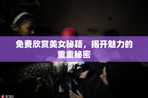 免费欣赏美女秘籍，揭开魅力的重重秘密
