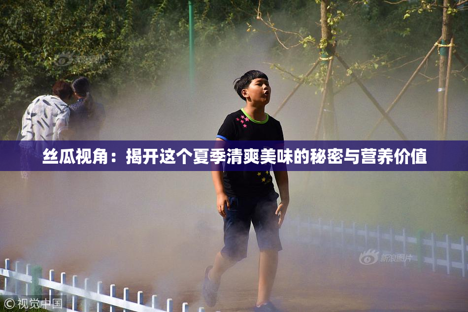 丝瓜视角：揭开这个夏季清爽美味的秘密与营养价值