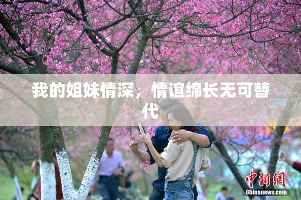 我的姐妹情深，情谊绵长无可替代