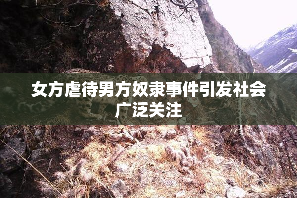 女方虐待男方奴隶事件引发社会广泛关注