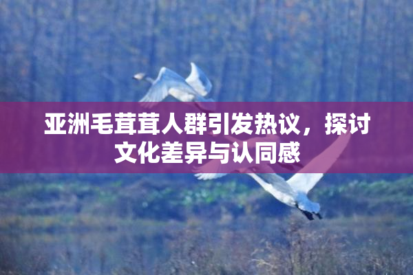 亚洲毛茸茸人群引发热议，探讨文化差异与认同感