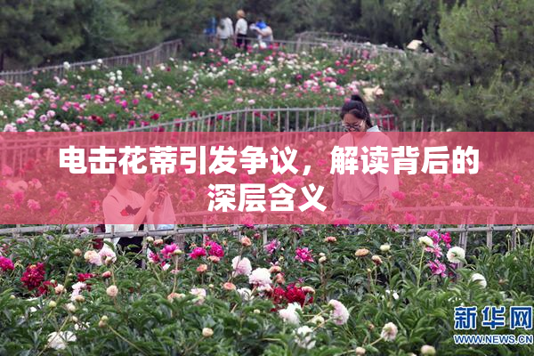 电击花蒂引发争议，解读背后的深层含义