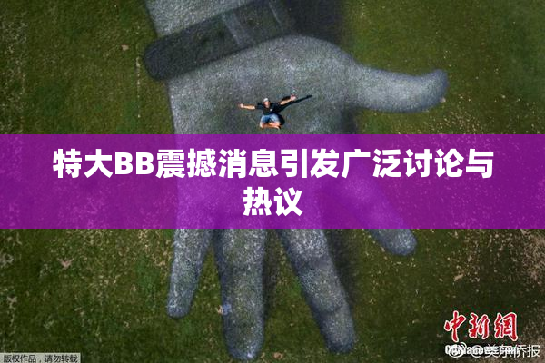 特大BB震撼消息引发广泛讨论与热议