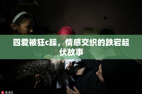 四爱被狂c躁，情感交织的跌宕起伏故事