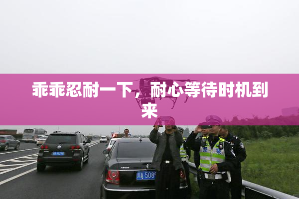 乖乖忍耐一下，耐心等待时机到来