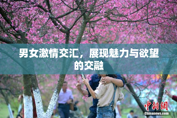 男女激情交汇，展现魅力与欲望的交融