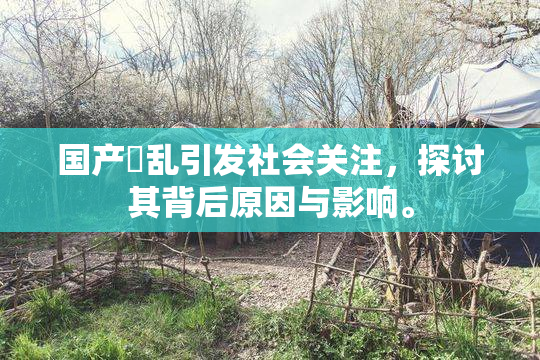 国产婬乱引发社会关注，探讨其背后原因与影响。