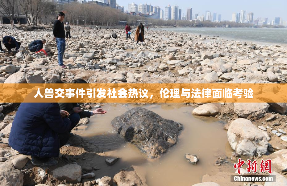 人兽交事件引发社会热议，伦理与法律面临考验