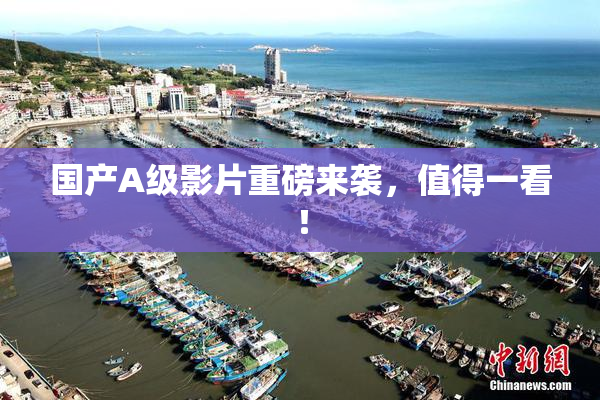 国产A级影片重磅来袭，值得一看！