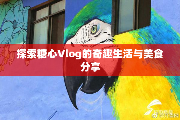 探索糖心Vlog的奇趣生活与美食分享