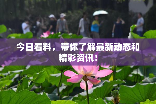 今日看料，带你了解最新动态和精彩资讯！