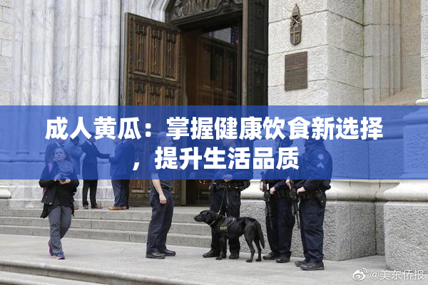 成人黄瓜：掌握健康饮食新选择，提升生活品质