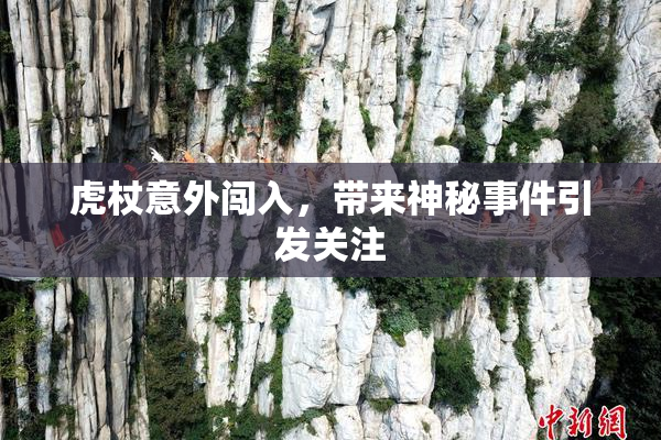 虎杖意外闯入，带来神秘事件引发关注