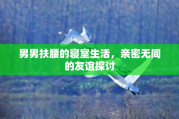 男男扶腰的寝室生活，亲密无间的友谊探讨