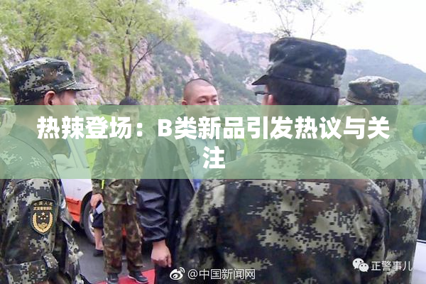 热辣登场：B类新品引发热议与关注