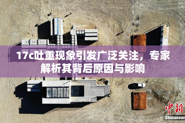 17c吐重现象引发广泛关注，专家解析其背后原因与影响