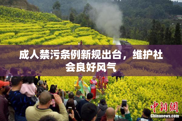 成人禁污条例新规出台，维护社会良好风气