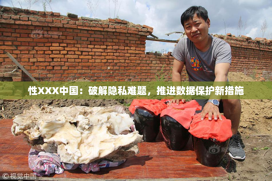 性XXX中国：破解隐私难题，推进数据保护新措施