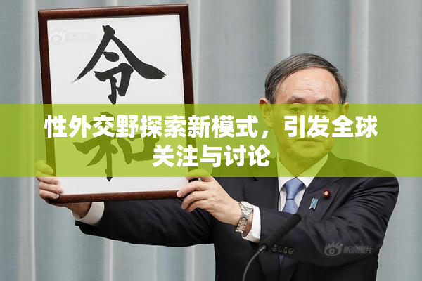 性外交野探索新模式，引发全球关注与讨论