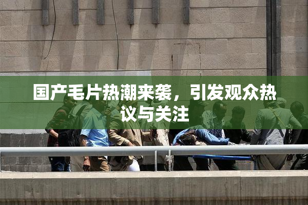 国产毛片热潮来袭，引发观众热议与关注